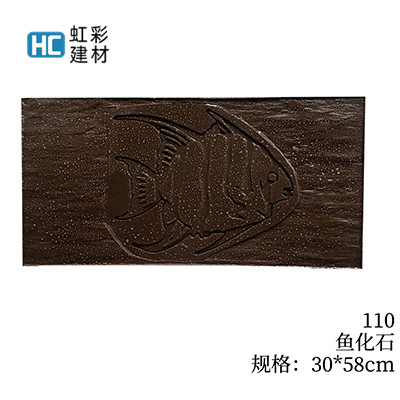 110-鱼化石
